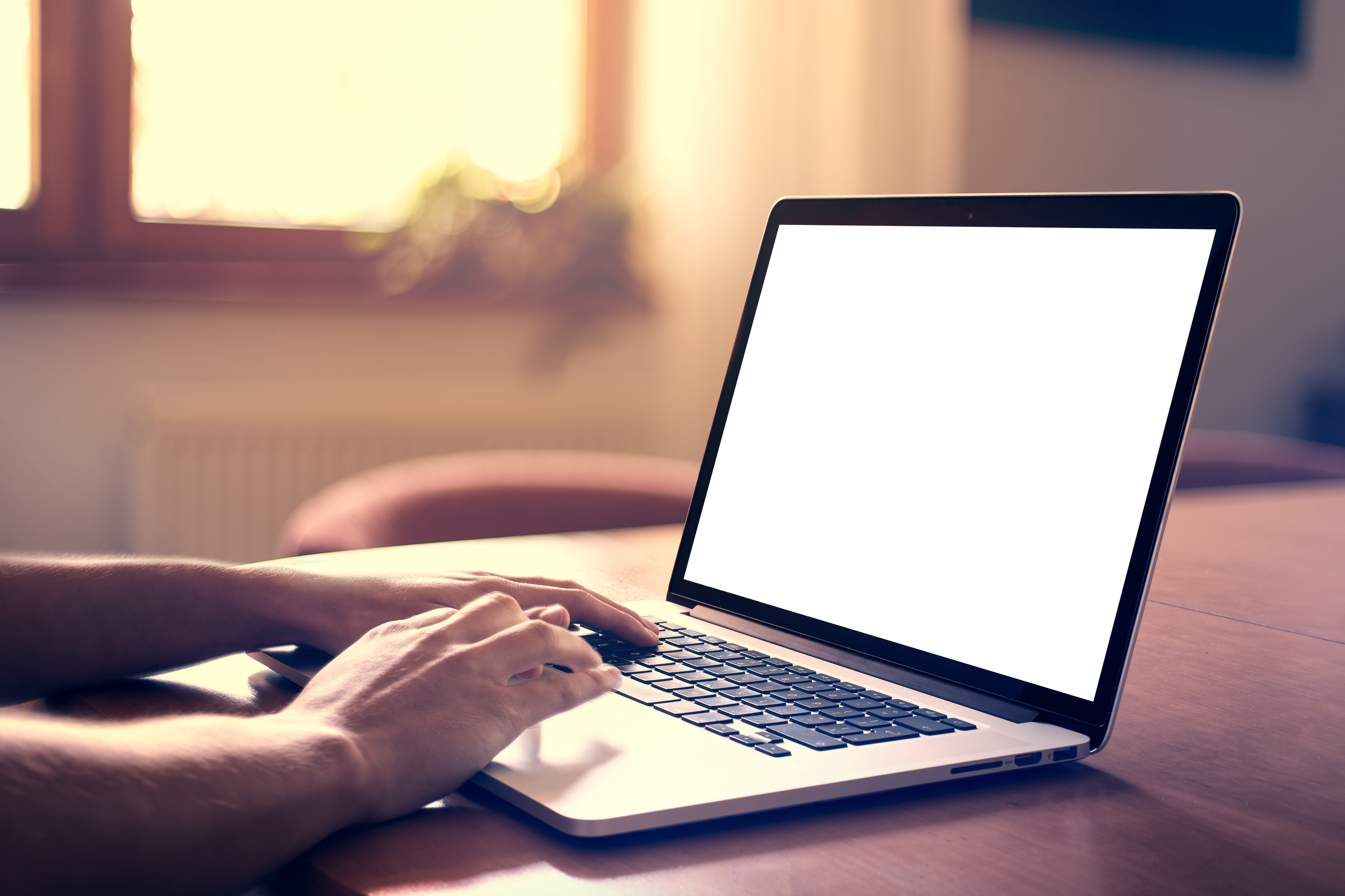 Laptop Screen
